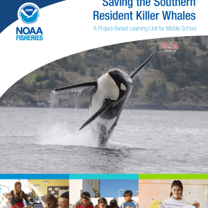 Saving the Southern Resident Killer Whales