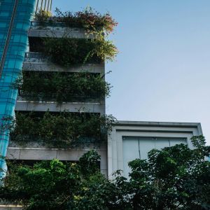 A tall city building covered in greenery