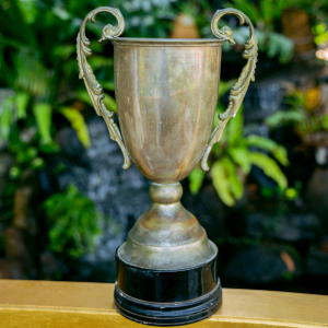 A faded gold trophy sits on a railing in front of green flora