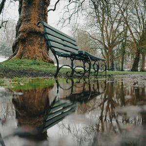 A park bench sits in a flooded area, reflected in the water below it