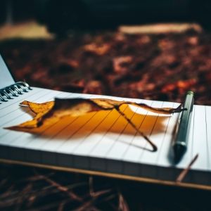 A black pen and brown leaf sit on top of a spiral notebook on a soil-covered ground