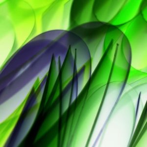Abstract image with green and purple shapes resembling blurred leaves, creating a dynamic visual.