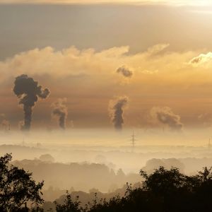 Black silhouette of trees against a cloudy factory background with steam coming from the distant facilities