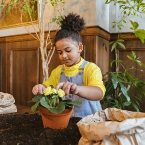 A child sits inside in front of a table covered in soil, planting a yellow flower in a pot