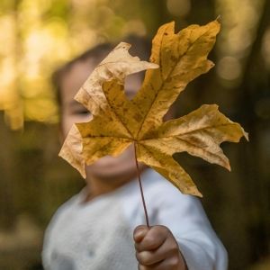 A child holds up a brown leaf with their face behind it and a blurred forested background