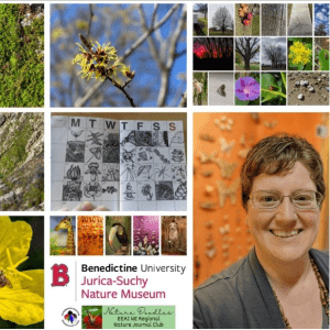 Three by three grid showing photos of moss, a flower, a calendar, and in the bottom right corner, a portrait of the presenter, Karly Tumminello, with short hair, wearing glasses, and smiling.