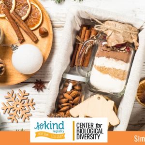 Photo of holiday themed food platter and decor