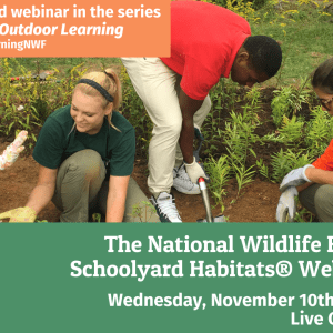 Join us for the 2nd webinar in the series