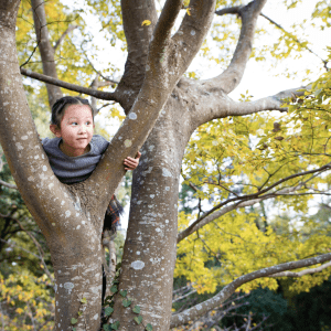 Kid in a tree with golden leaves. Fall time.