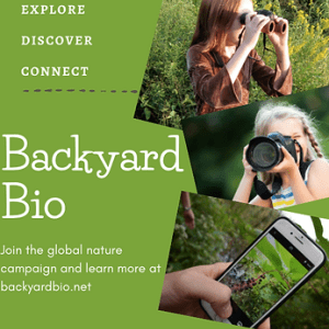 Green background with white text that says, "Explore Discover Connect." Under that, more white text that says, "Backyard Bio Join the global nature campaign and learn more at backyard bio dot net." On the right hand side are a group of three photos. The top photo shows a young girl holding binoculars. The middle photo shows a young girl holding a camera, and the bottom photo shows someone's hand holding a smartphone.