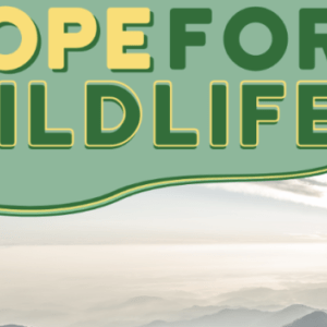 Graphic with yellow and green text that reads, “Hope for Wildlife” and a photo of a mountain range below