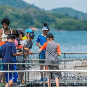 It's a bright sunny day and a group of kids and one adult stand over a fence, curiously looking down into a body of water.