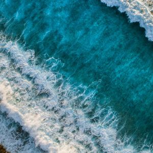 Photo by Shifaaz shamoon on Unsplash