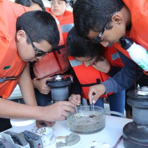 Group of students on a boat in life jackets looking over a petri dish of plankton and plastic.