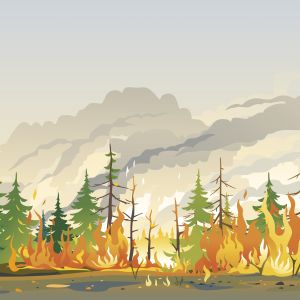 illustration of green trees, yellow and orange fire, grey and beige smoke