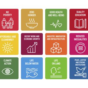 sustainable development goals chart of 17 goals in multicolor blocks