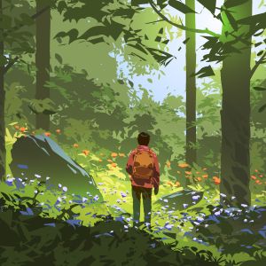 Illustration of person with backpack standing in middle of forest. Light shining through.
