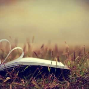 Book laying in a field open to a pair of pages folded into the shape of a heart.