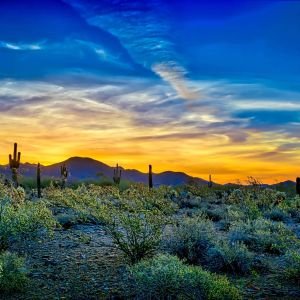 Arizona sky and desert