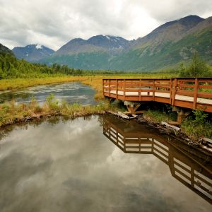 pier over marsh with mountains in background