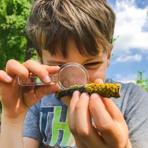 A boy uses a magnifying glass to look at a small green bug on a stick