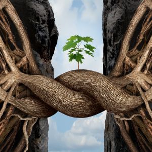 Small seeding growing between two twisting branches over a ravine. 