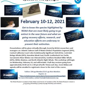 Virtual Workshop: Species in the Spotlight. February 10–12, 2021. 