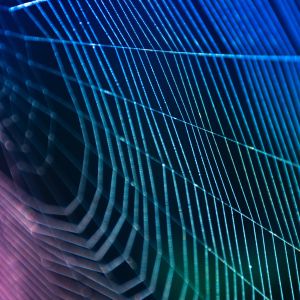 Neon spider web colored in a gradient of blue, cyan and purple, set against a dark background