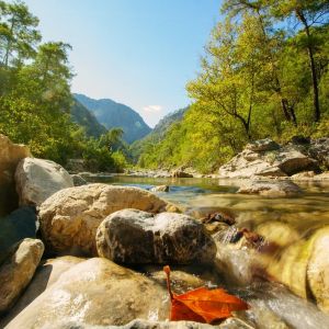 Idyllic valley with mountain river