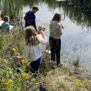 Students exploring their local wetland