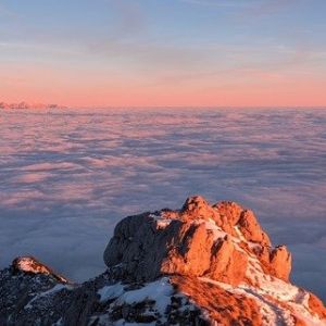 Photo of a mountain peak above a cloud layer, tinted pink by a sunset