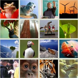 mosaic of nature and people and clean energy images