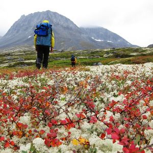 Hikers walk along the red & white tundra of Gladiator Basin with mountains ahead of them