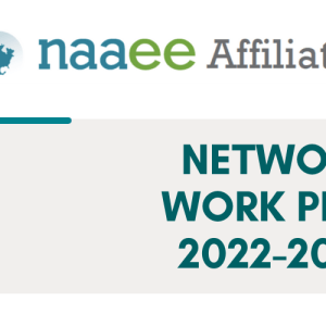 A screenshot of the front page of the Affiliate Network Work Plan