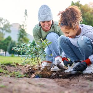 An adult and child planting a tree in a park