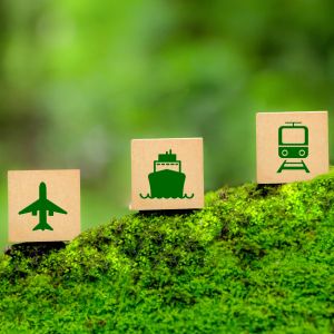 Four blocks sit on a mossy incline; the first features an image of a truck, the second a plane, the third a boat, and the fourth a tram.