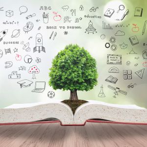 Open book on table. From the seam is a tree growing. Pencil illustrations relating to STEM and environmental education.