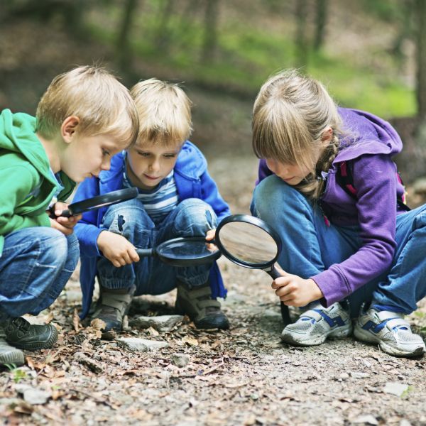 kids using magnifying glass to study leaves