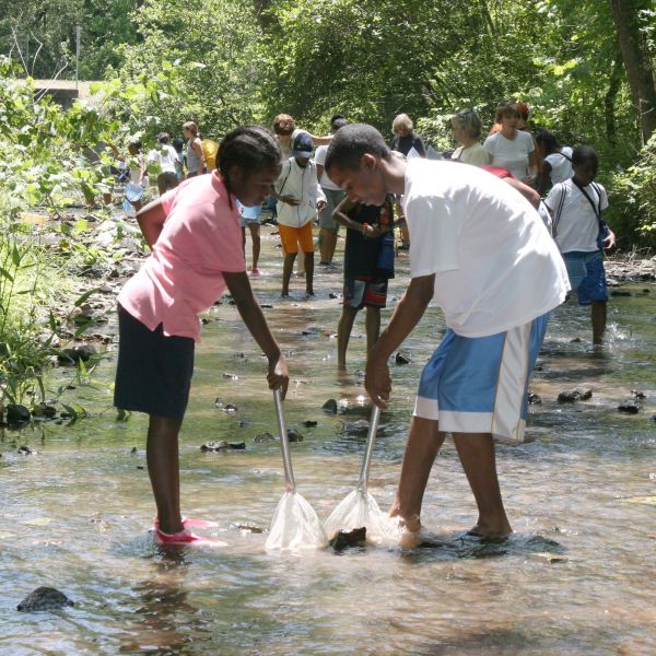 Inner-city children exploring a stream