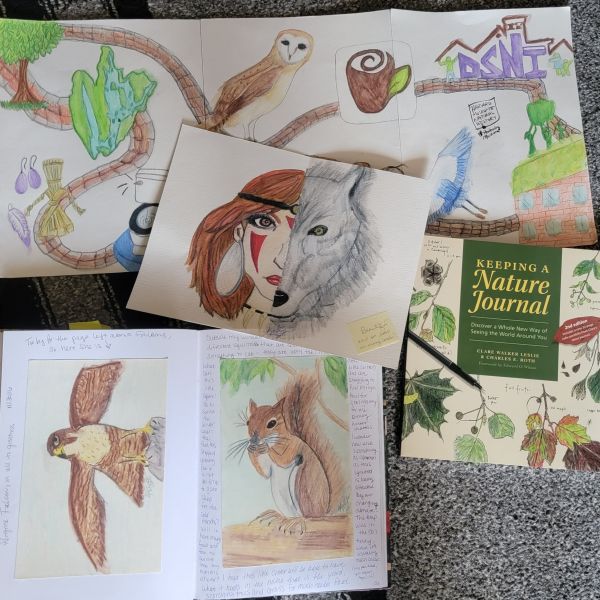 Two pages, an open notebook, and a nature journal book cover showing drawings of owl, a heron, a tree, a wolf, a woman, a building, a hawk and a squirrel.