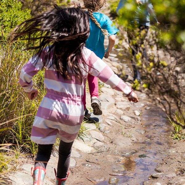 Alyse Panitz Photography 