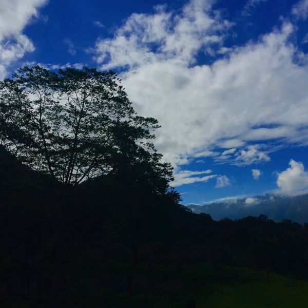Leaf-filled trees line a dark mountain range under a blue sky filled with wispy cirrus clouds. 