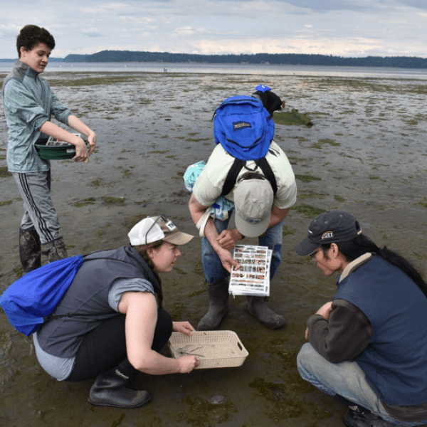 Puget Sound Estuarium visitors at low tide with trained naturalist.