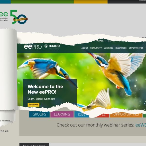 old NAAEE site peeled back to reveal new NAAEE website