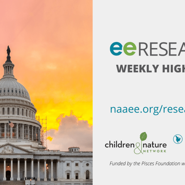 Graphic for eeRESEARCH. The US Capitol Building stands against an orange, red, and pink sky.