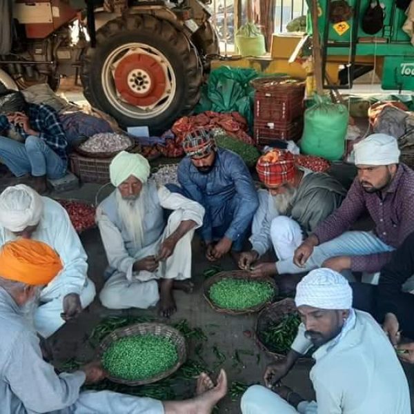 Indian farmers protest and sell goods