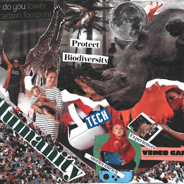 Collage of wildlife and people with a grayscale forest in the background