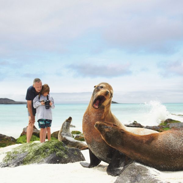 Adult and child photographing sea lions in the Galápagos, photo by Stewart Cohen