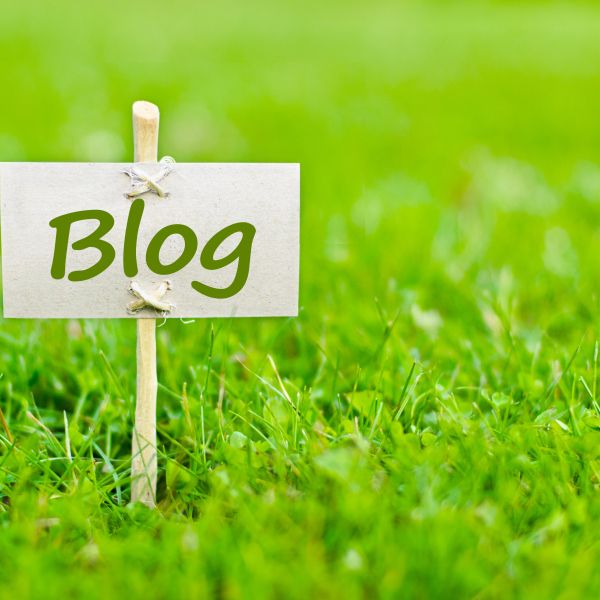A blog post: A little wooden sign with the word "blog" written on it is posted in green grass. 