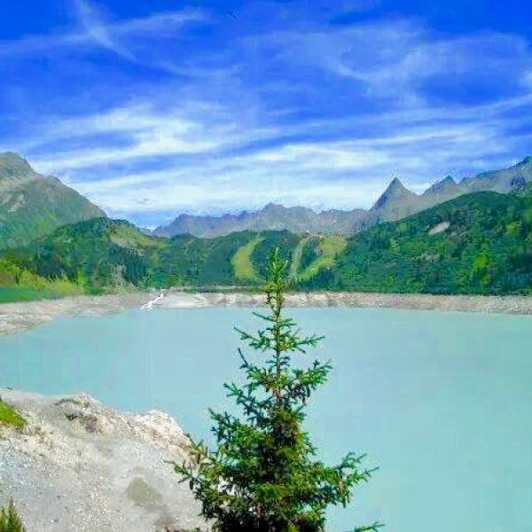 A mountain lake surrounded by forest